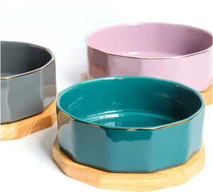 Chic Non-Slip Ceramic Cat Dish — Durable, Elegant Feeding Bowl in Grey, Green, and Purple, 16x6cm - petcareville