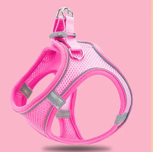Reflective Pet Vest & Leash Combo — Breathable All - Season Harness with Safety Traction Rope, Adjustable Sizes