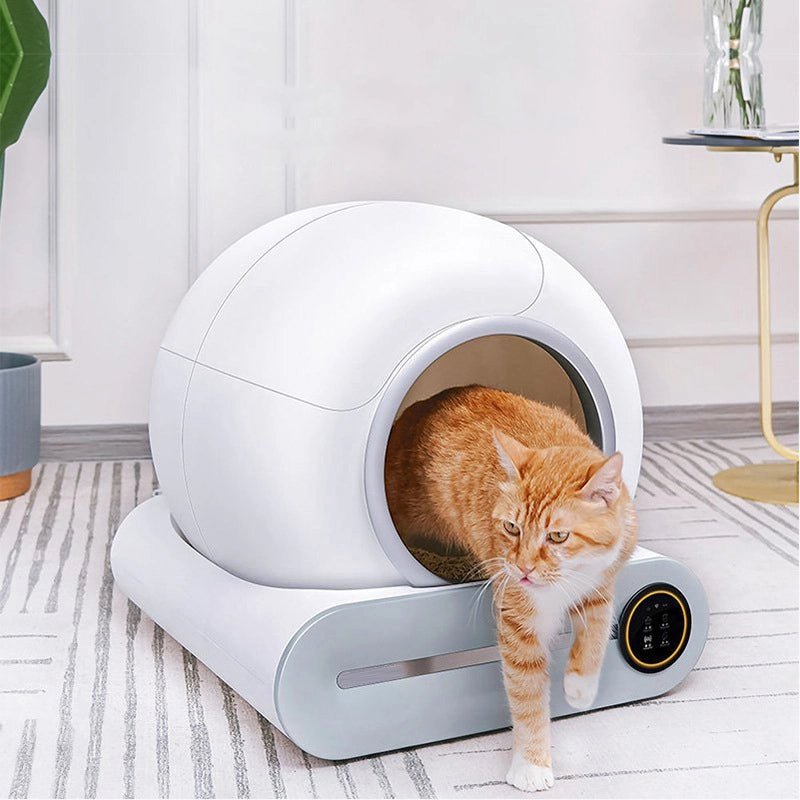 Automatic Cat Litter Box with App – Effortless Cleaning - petcareville