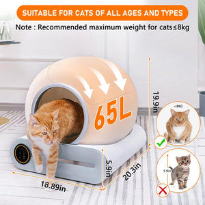 Automatic Cat Litter Box with App – Effortless Cleaning - petcareville