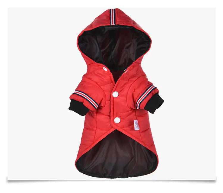 Apparel & Accessories - petcareville