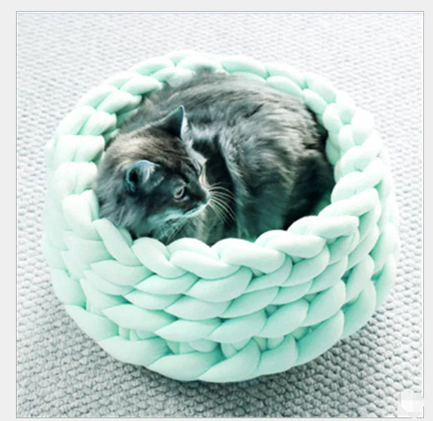 Cat sitting in a mint green braided pet bed on a textured surface