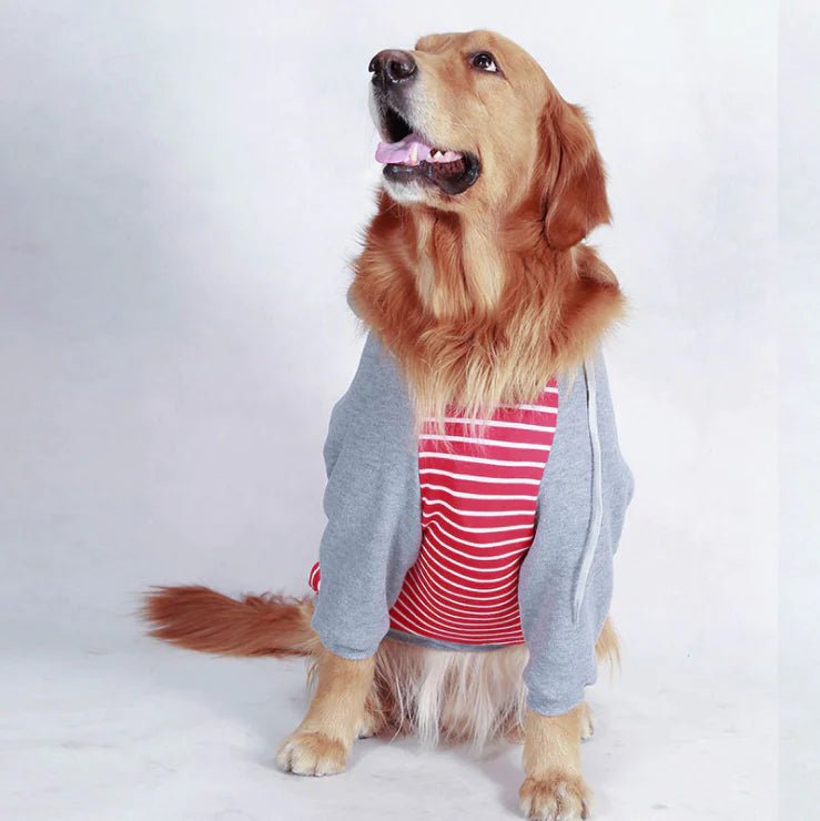 Autumn/Winter Large Dog Cotton Hoodie — Cozy, Stylish Hooded Jacket for Big Breeds like Golden Retrievers & Labradors - petcareville