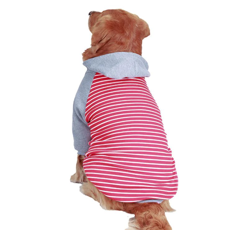 Autumn/Winter Large Dog Cotton Hoodie — Cozy, Stylish Hooded Jacket for Big Breeds like Golden Retrievers & Labradors - petcareville