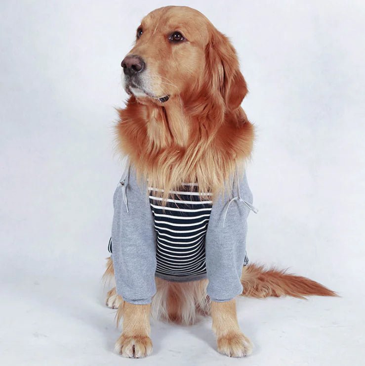 Autumn/Winter Large Dog Cotton Hoodie — Cozy, Stylish Hooded Jacket for Big Breeds like Golden Retrievers & Labradors - petcareville