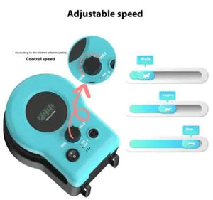 Interactive Remote Cat Toy — Automatic & Manual Feather Mouse Track Game, LCD Display, USB Rechargeable - petcareville