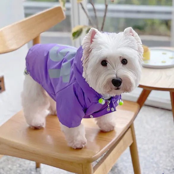 Pet Winter Cotton-Padded Jacket — Warm, Stylish Dog Coat in Purple, Sizes XL to 3XL - petcareville