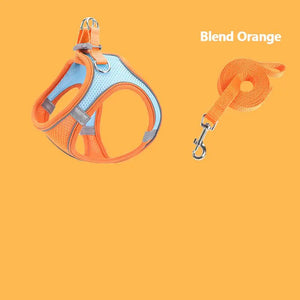 Reflective Pet Vest & Leash Combo — Breathable All-Season Harness with Safety Traction Rope, Adjustable Sizes - petcareville