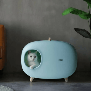 Cat peeking out from a light blue pet house 