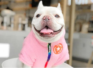 SnugPup Winter Coat — Warm Teddy Lamb Wool, England Design, Small Dogs & Cats, Adjustable L-3XL